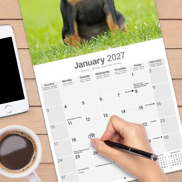 Miniature Pinscher Calendar 2027, Wall Calendars, Month To View, Dogs, Gift