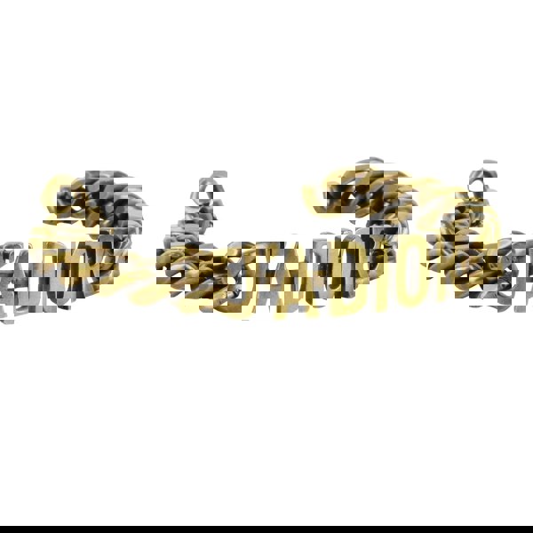 Dior J'Adior bracelet in an aged brass tone curb chain