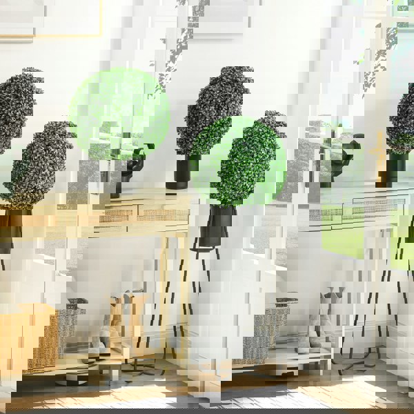 Artificial Pruned Plants