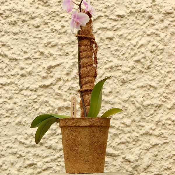 CoirProducts Coir Grow Poles | Moss pole | Coir Fibre Plant Support Stakes for Vegetables, Cheese Plants, Flowers & Climbing Plants