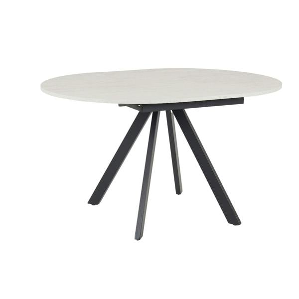Outdoor Living Harley Extendable Dining Table with 4 Emily Chairs
