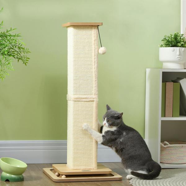 Cat Scratching Post