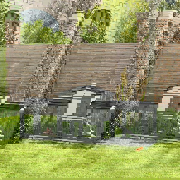 D51-313V00LG