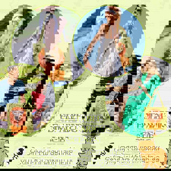 Anywags Anypet Cat Handbag 40cm Light Gray 3D Lion Soft Collar Pets Carrier Luggage Small Dog Travel Tote Bag With Pet Canvas