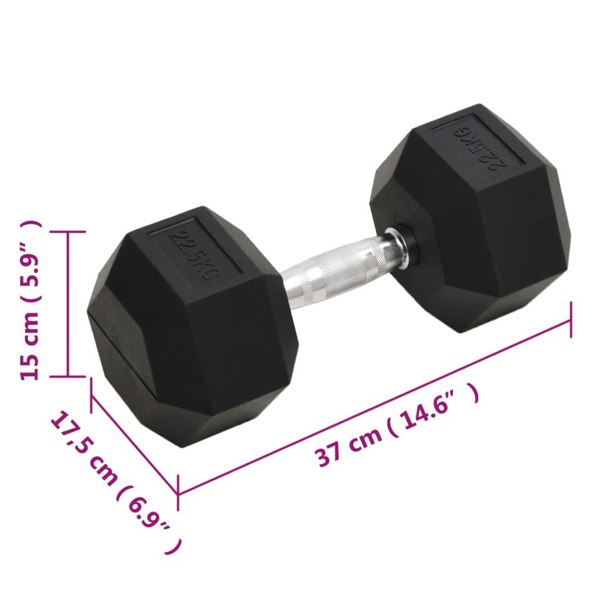 Berkfield Dumbbell 22.5 kg Cast Iron