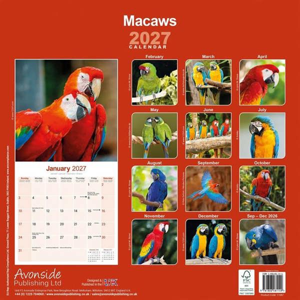 Macaws Calendar 2027, Wall Calendars, Month To View, Animals, Gift
