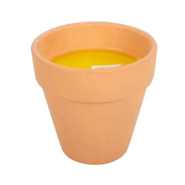 Serano Gardener of the Year Citronella Candle
