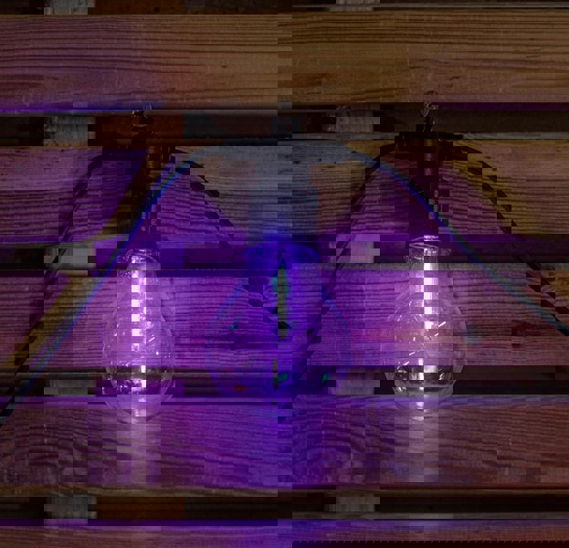 Samuel Alexander Set of 20 Indoor Outdoor Connectable Festoon Lights with Multi-Coloured LEDs