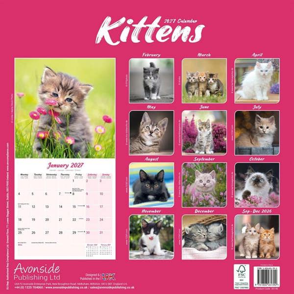 Kittens Calendar 2027, Wall Calendars, Month To View, Cats, Gift
