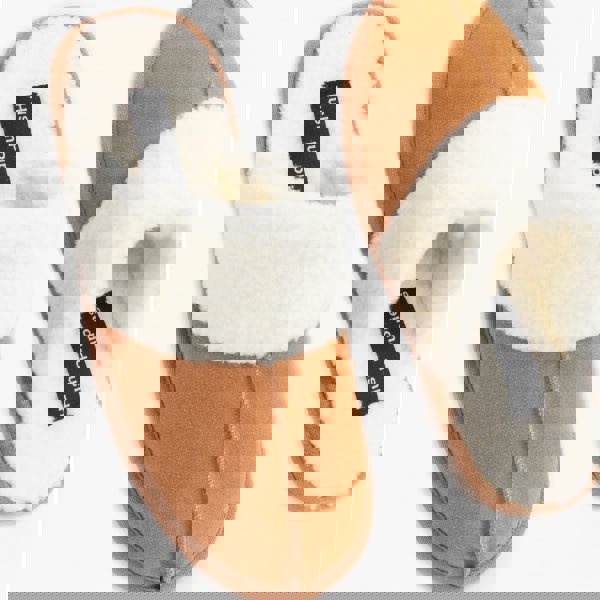 1637230951-99570200.jpg