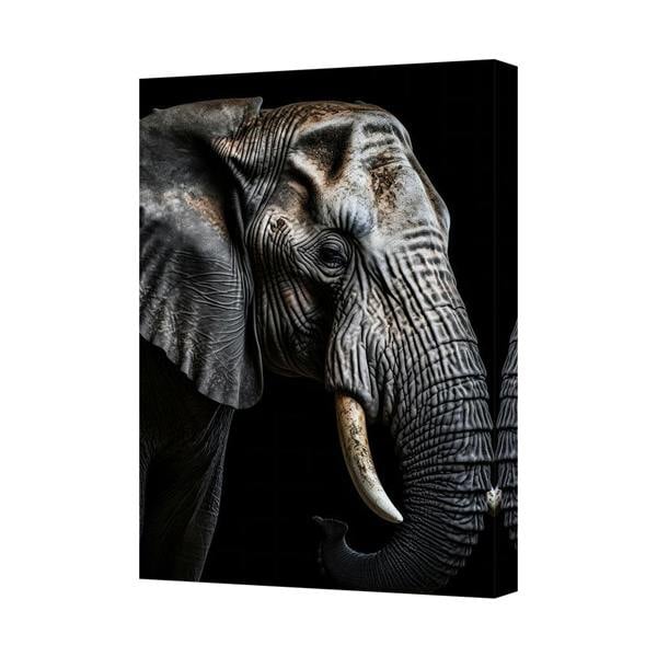 Benjamin Tate Design Elephant Portrait Canvas Wall Art Black Background Print