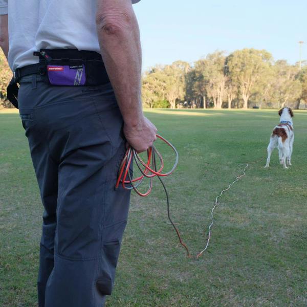 EzyDog Track 'N' Train Slimline Long Line Dog Lead in Red