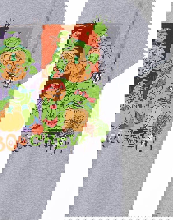 Teenage Mutant Ninja Turtles Unisex Kids Grey Boo Crew Short Sleeved T-Shirt