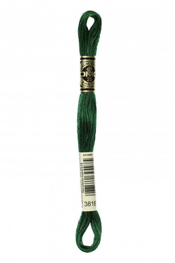 3818 | Green