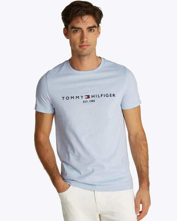 Tommy Hilfiger Tommy Logo Basic Mens T-Shirt - Breezy Blue
