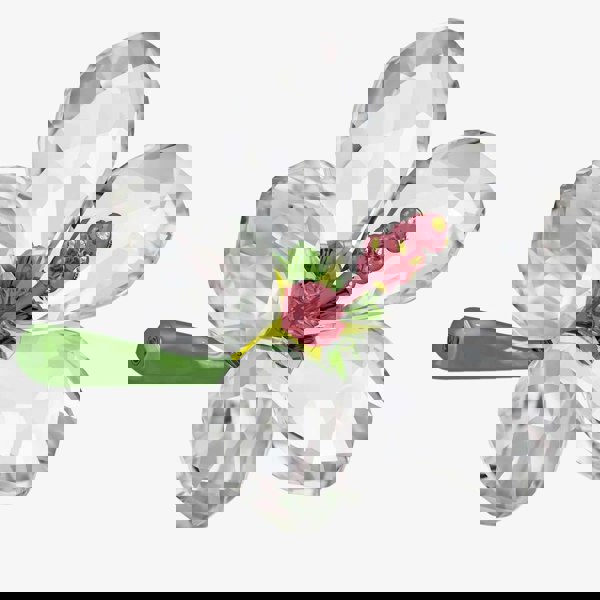 Swarovski Florere Hibiscus Ornament 5690534