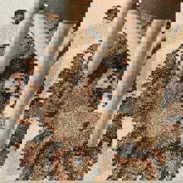 Kids Round Lion Rug, Heat-insulating, Cream Colour, Easy to CLean |THE RUGS