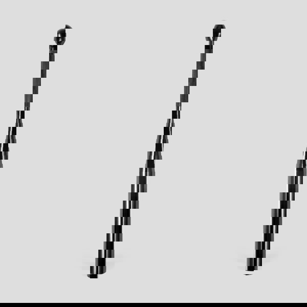 Phoenix Fitness 20KG Indian Club