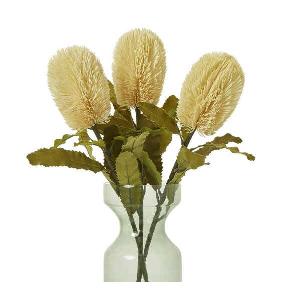 Wyld Haus Set of 3 Artificial Flowers Large Cream Banksia Serrata Stems