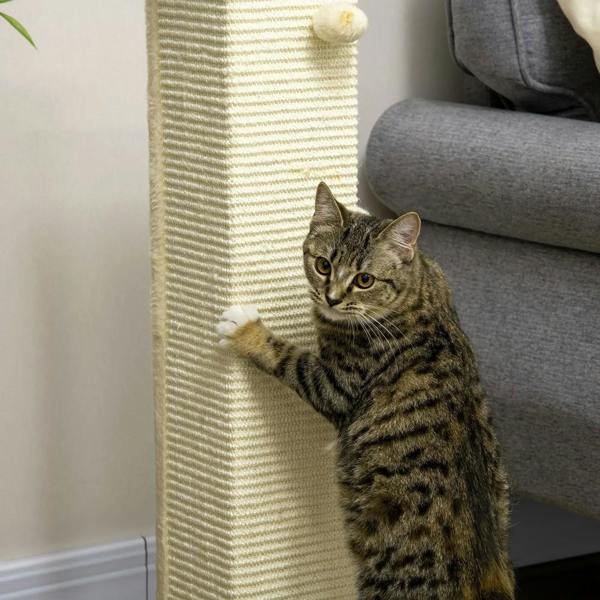 Cream sisal scratching post with wooden top and hanging plush ball, tabby cat