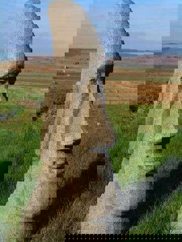 Large Easter Island Moai Head Garden Statue