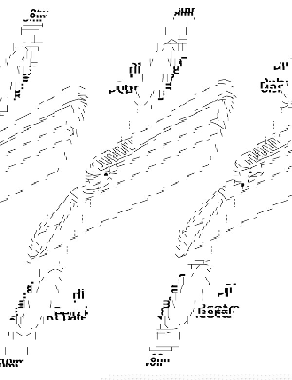 Aidapt Plastic Pill Popper White