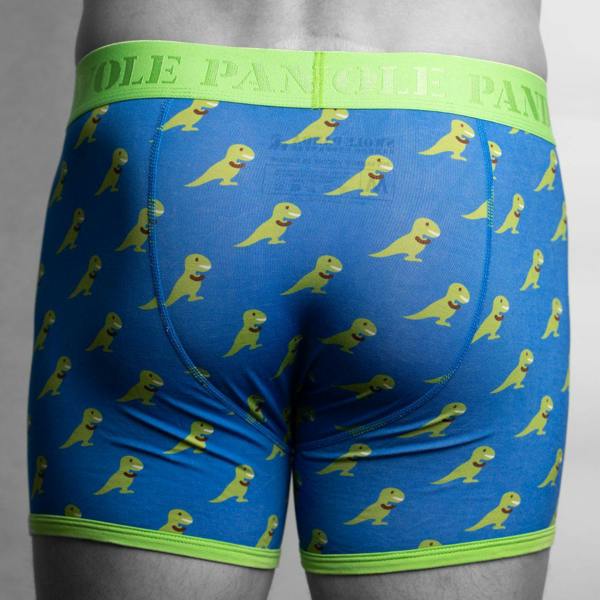 SWOLE PANDA T-Rex Bamboo Boxer Brief in Blue/green