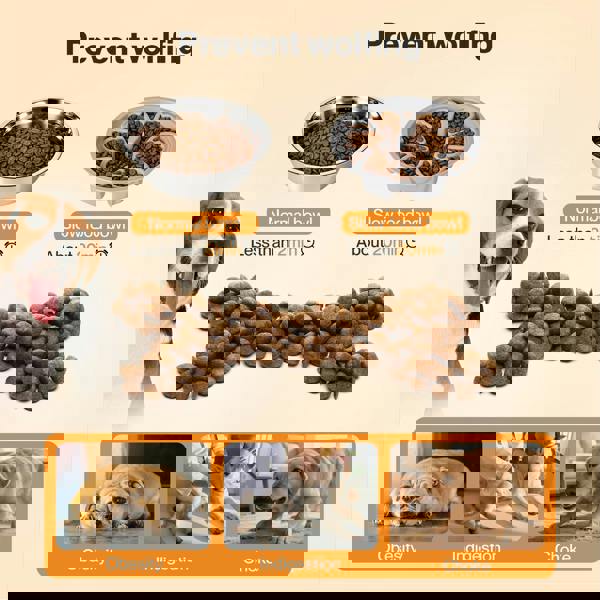 Skylos Raised Dog Bowls Elevated Pet Feeder 6 Height Slow Food Water Feeding