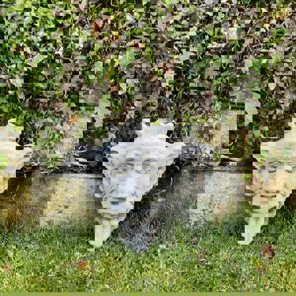 Stone Cast Gargoyle Wall Plaque