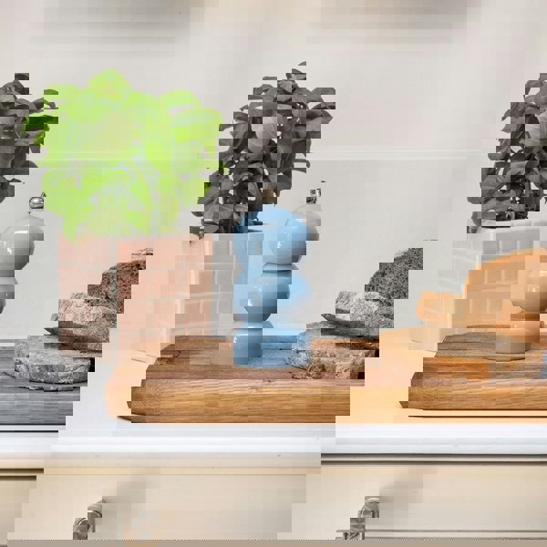 Medium Baby Blue Pepper Mills on kitchen counter