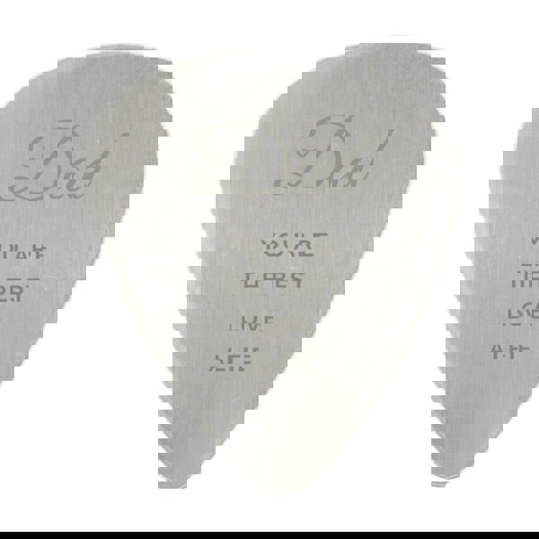 Personalised Memento Company Personalised Free Text Big Name Silver Plectrum