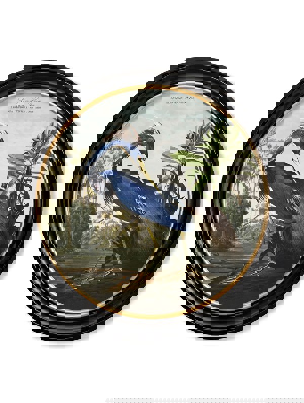 Exceptional Art c.1838 Audubon's Herons in Round Frames