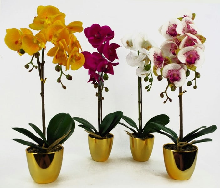 Leaf 48cm Harlequin Orchid Artificial  - Pink with Gold Pot