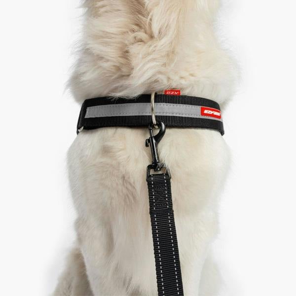 EzyDog UpFront D-ring Harness Attachment