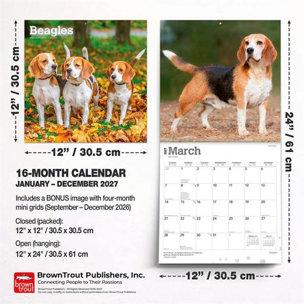 Beagles Calendar 2027, Wall Calendars, Month To View, Dogs, Gift