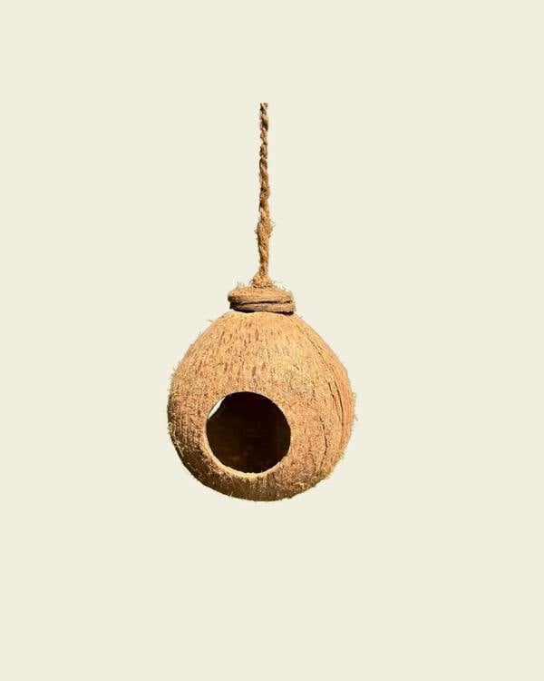 CoirProducts Shell Bird Nest