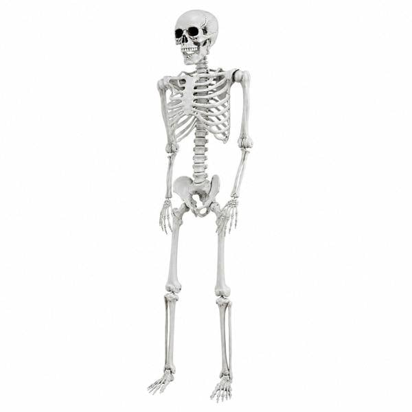 Yezi Halloween Skeleton Life Size 169cm Posable Jointed ABS Spooky Patio White