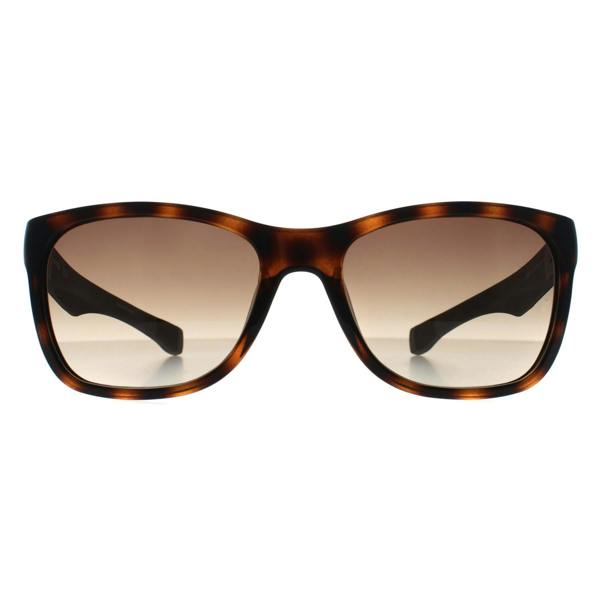 Lacoste Sunglasses L662S 214 Havana Brown Gradient