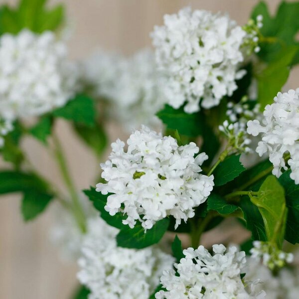 Wyld Haus Set of 3 Artificial Flowers Cream Snowball Viburnum Sprays