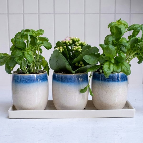 Set of 3 blue and cream reactive glaze ceramic planters with matching tray – Scandi style indoor plant pots for modern home décor