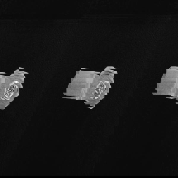 Close-up of a secure metal latch on a black gas bottle locker, showcasing its sturdy design and durable finish