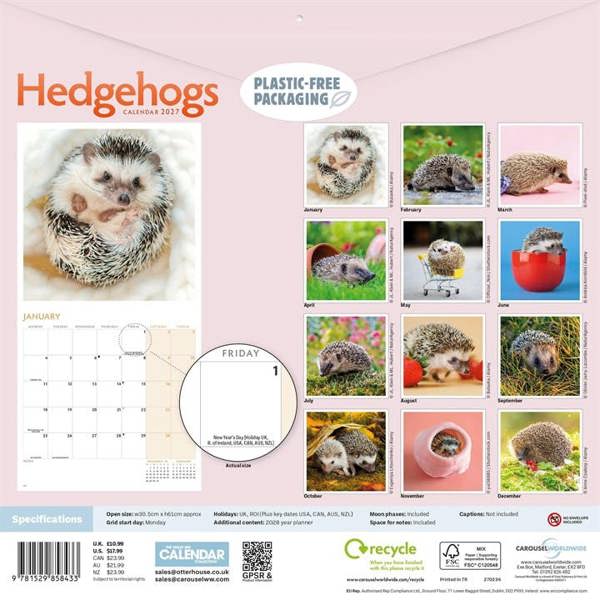Hedgehogs Calendar 2027, Wall Calendars, Month To View, Animals, Gift