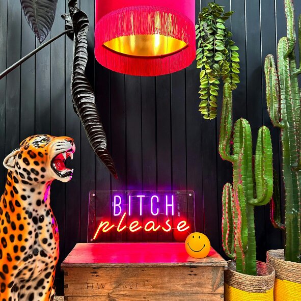 Love Frankie Bitch Please - Neon Wall Light