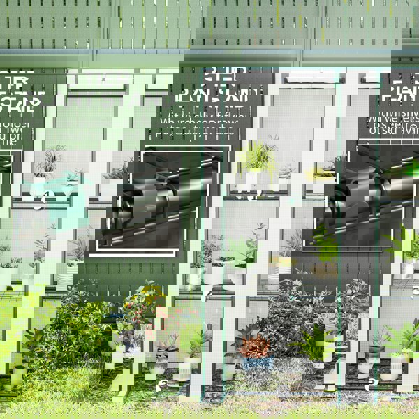 Greenhouse