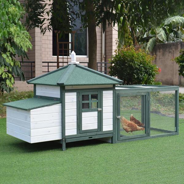 Chicken Coop