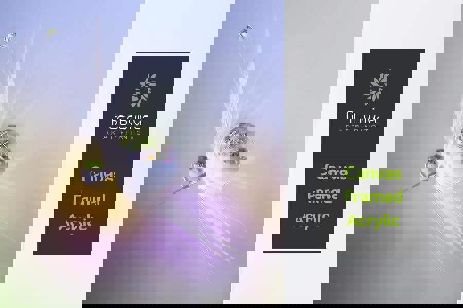 Fernlight Gallery Dandelion Seed