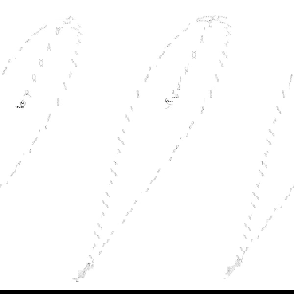 Mylee London Long-Haired Cat Silver Necklace - Personalised