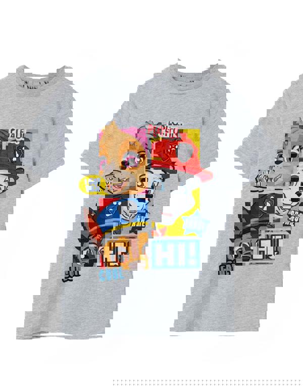 Paw Patrol Boys Grey Peekaboo Short Sleeved T-Shirt