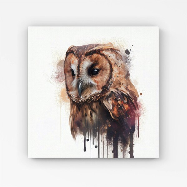 Warren Reed Tawny Owl Face Splash Art Light Background Canvas