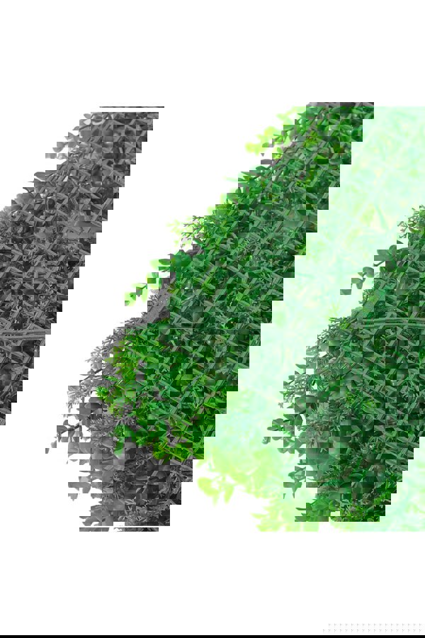 Living and Home 40Cm x 60Cm Artificial Eucalyptus Leaf Mixed Plant Hedges Wall Panel